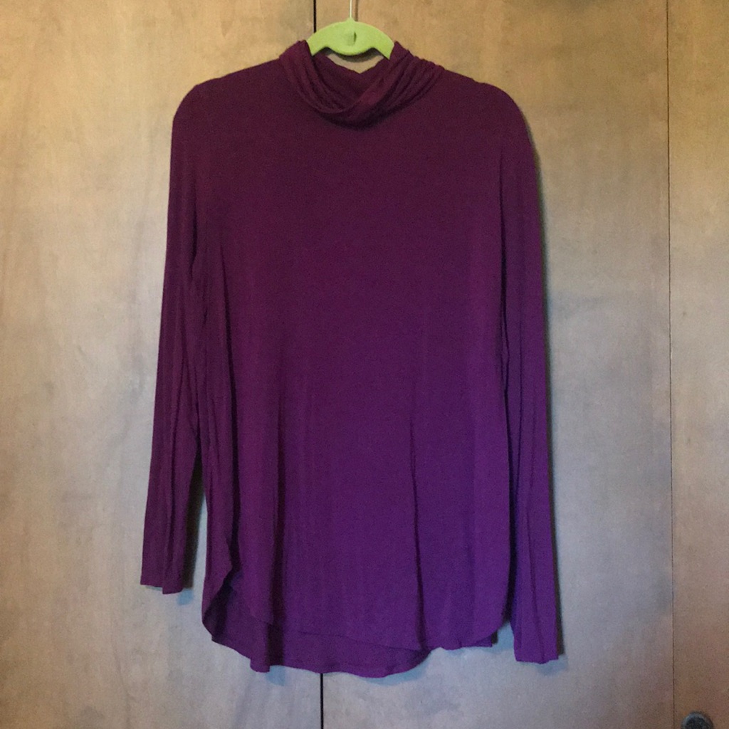 Long Sleeve Basic Turtleneck